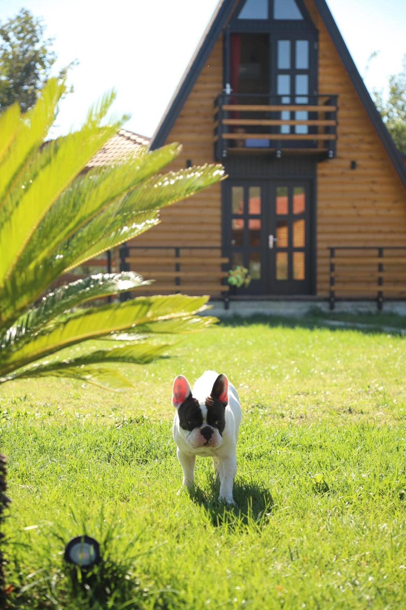 Sancho Farm Albania Villa Memaliaj Exterior photo