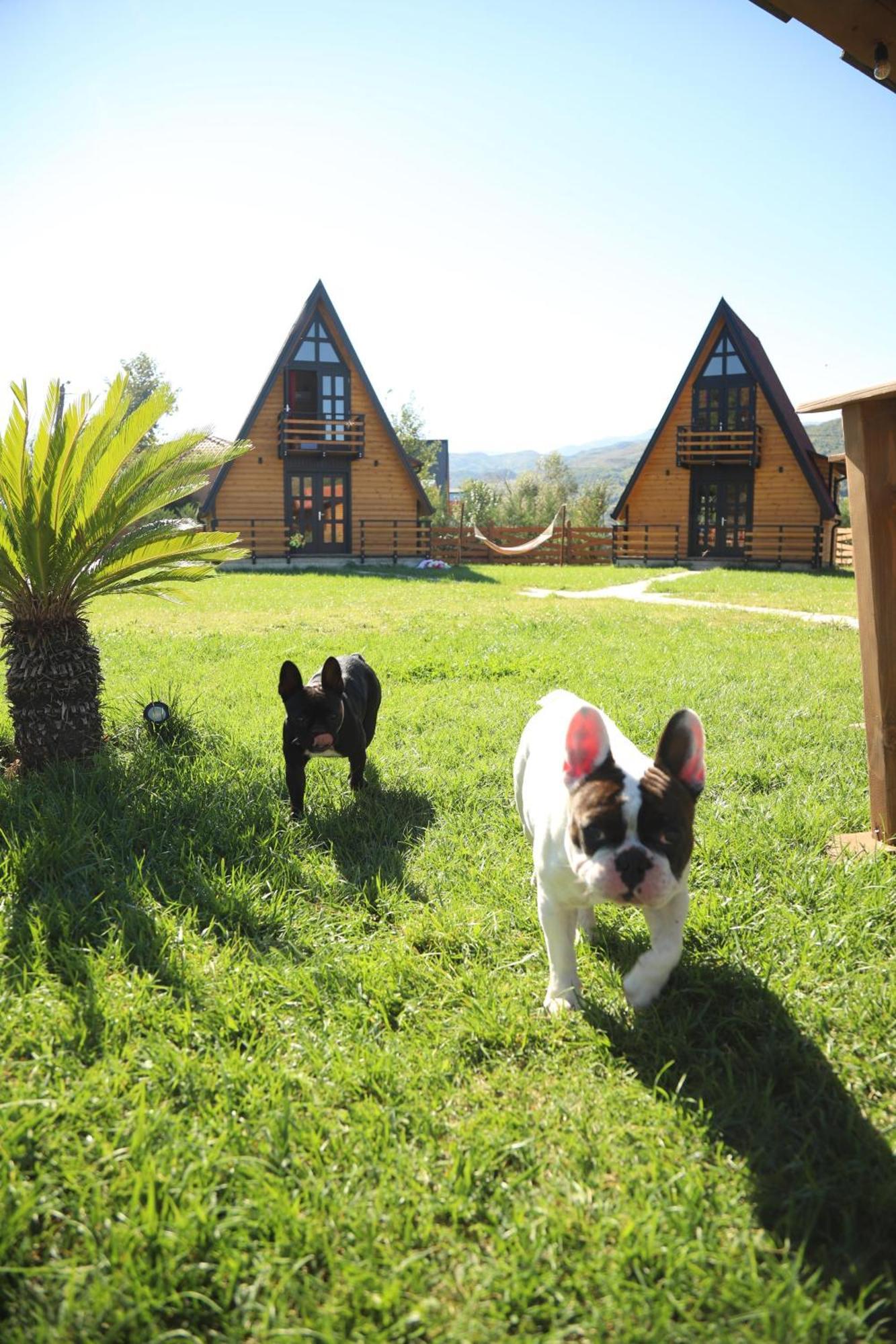 Sancho Farm Albania Villa Memaliaj Exterior photo