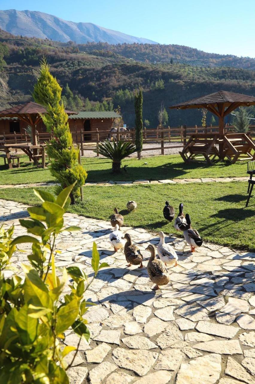 Sancho Farm Albania Villa Memaliaj Exterior photo